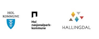 Hol kommune, Hjemmetjenesten, Geilotun og Høgehaug bo- og behandlingssenter