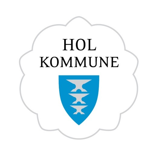 Hol kommune HR og organisasjon